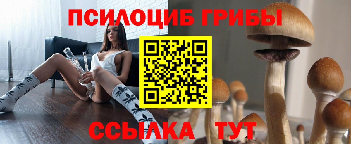 Костомукша  Псилоцибиновые грибы ЛСД  Вход с VPN  Галлюциногенные грибы ЛСД 